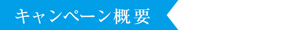 4周年キャンペーン概要タイトル