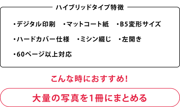 ハイブリッドタイプ