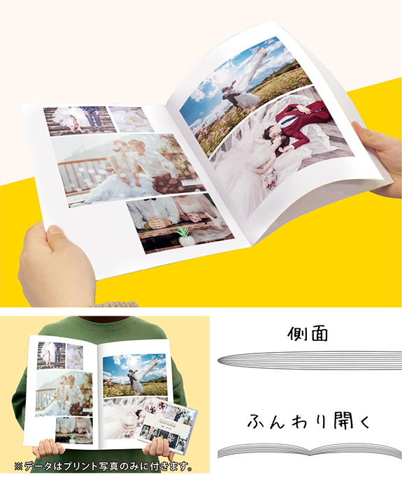 ソフトタイプ説明1