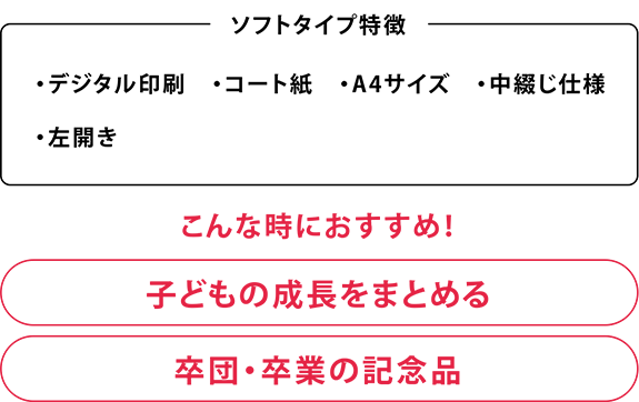 ソフトタイプ説明2